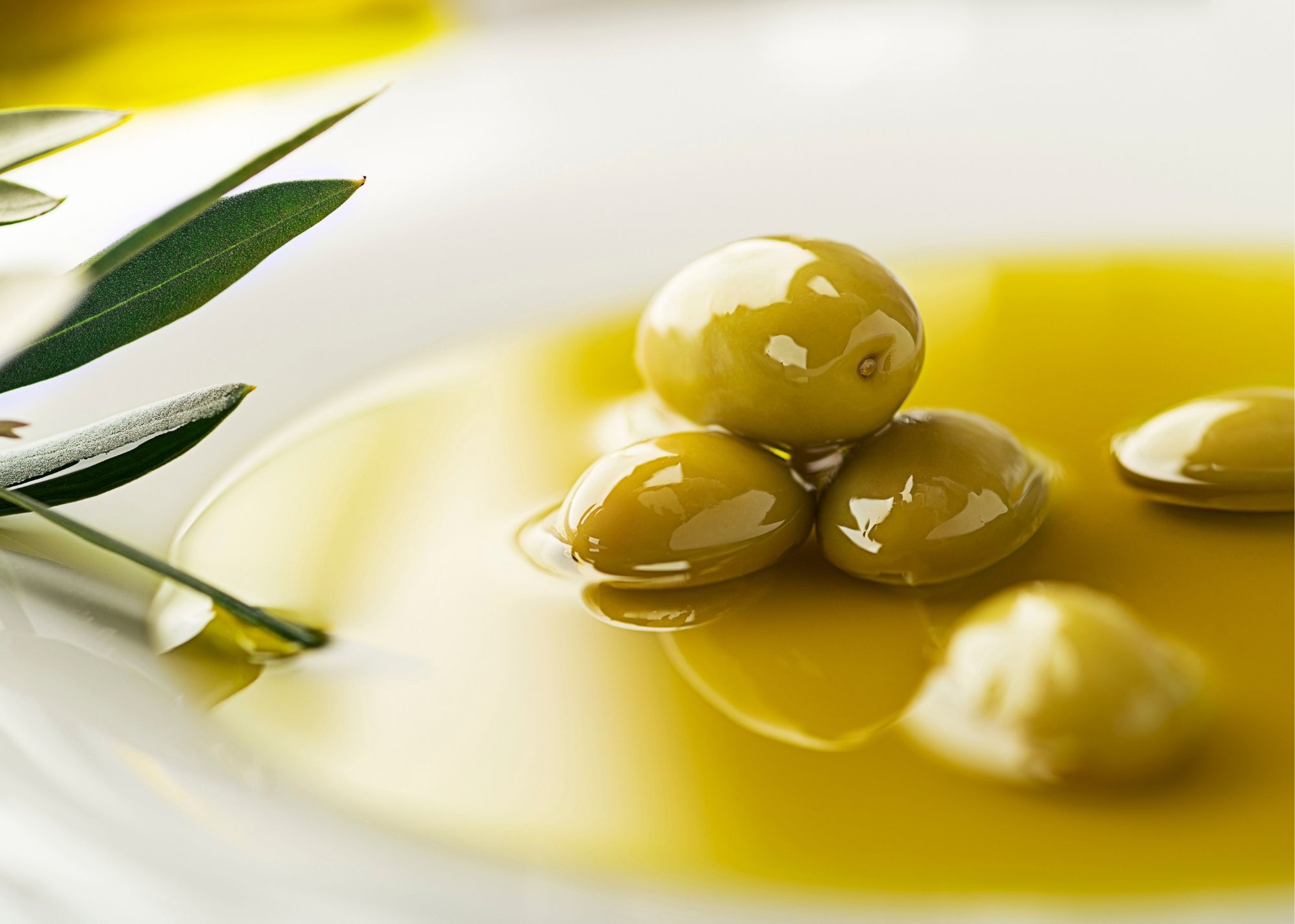 Calories of Extra Virgin Olive Oil and Its Nutritional Value