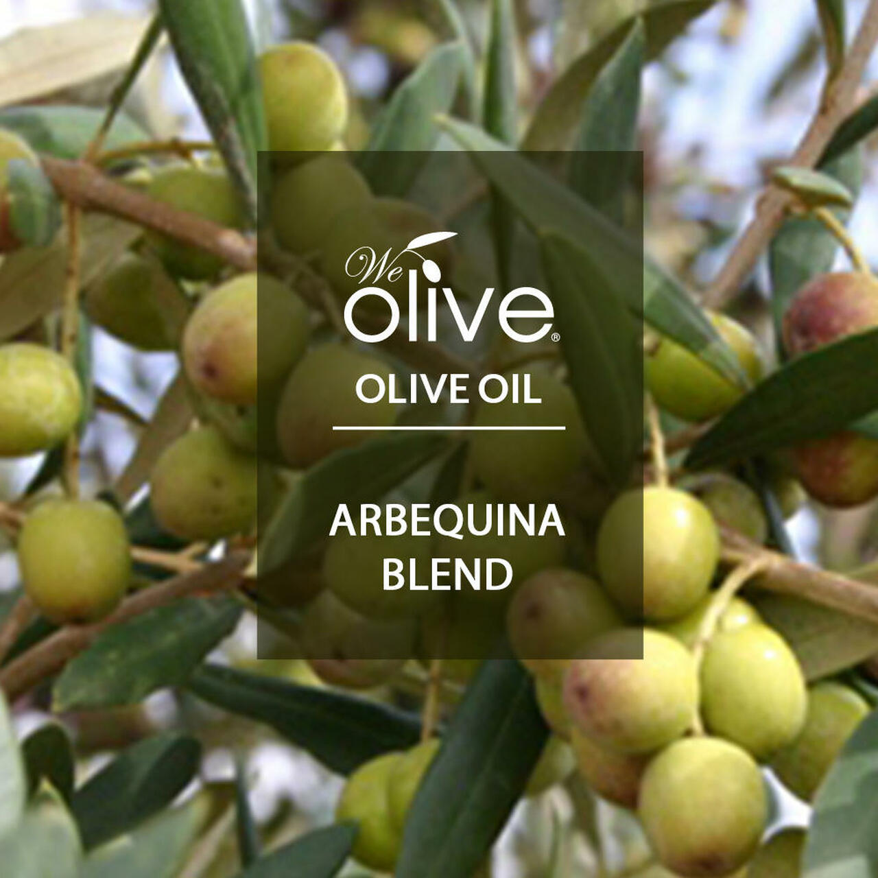 Certified olive oil