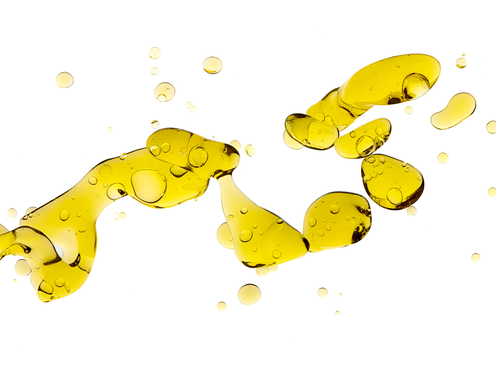 polyphenol rich olive oil