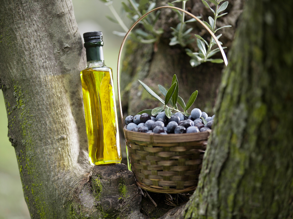 Top-rated olive oil store