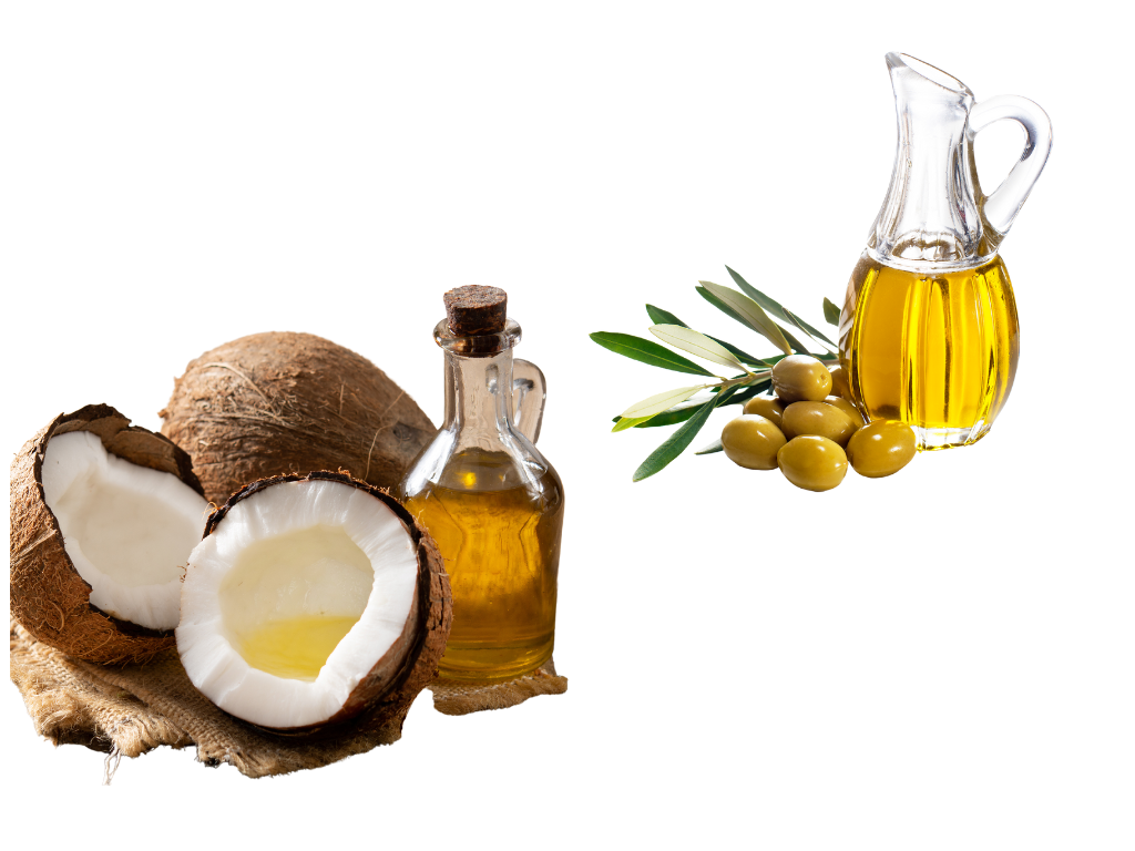 Olive Oil vs Coconut Oil