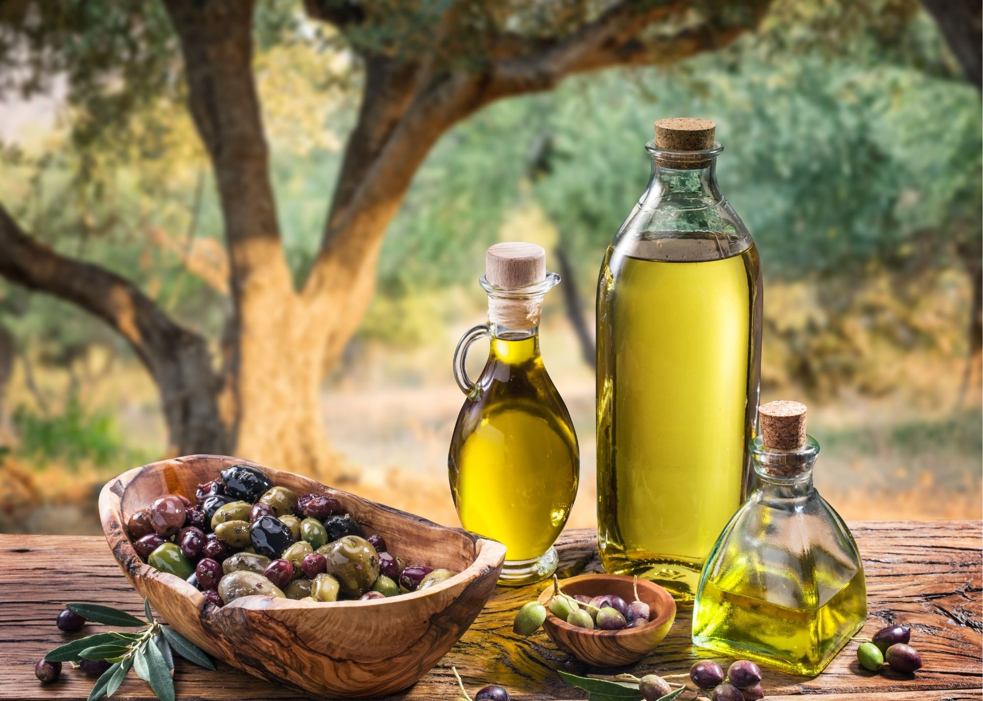 The best extra virgin olive oil