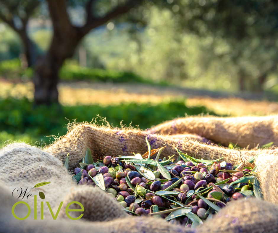 California olive oil