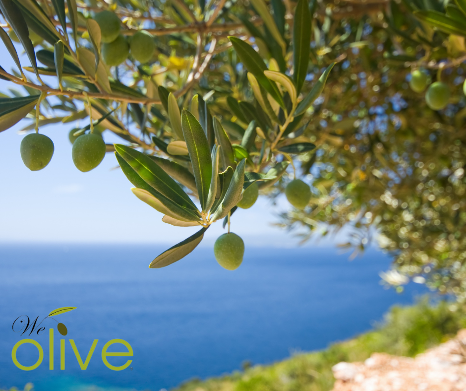 olive oil gift basket